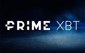 Exploring the Dynamics of Team PrimeXBT