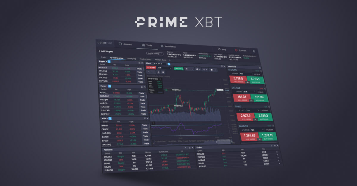 Exploring the Dynamics of Team PrimeXBT